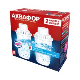Сменный модуль В5 (В100-5) защита от бактерий (комплект из 2-х штук) в Смоленске